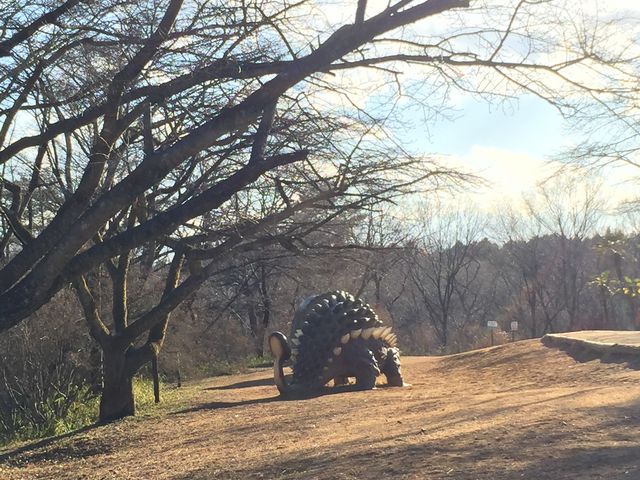 ブロントザウルスかな?_水戸市森林公園