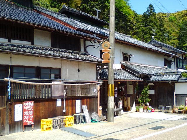 向井酒造