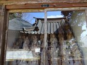 坊ちゃんさんの音羽山 清水寺の投稿写真3