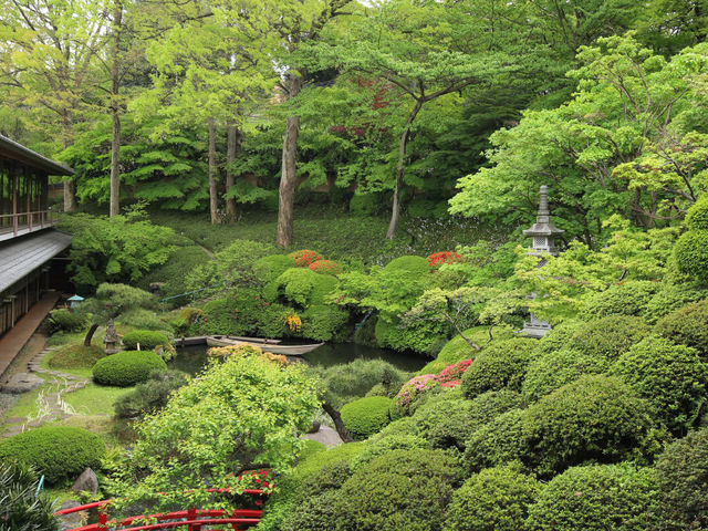 この前行った時。新緑が素敵。_鶯啼庵