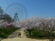 マックさんの天保山公園の投稿写真7