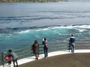 もんきちさんの梶折鼻公園展望所の投稿写真1