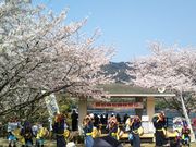 もんきちさんの梶折鼻公園展望所の投稿写真2