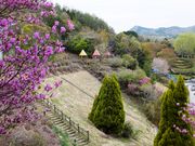 こぼらさんの室生不思木の森公園の投稿写真2