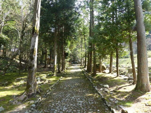 マイBOOさんの永光寺川緑のアメニティの投稿写真1