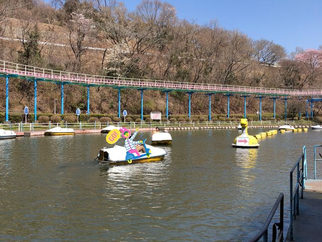 水上自転車。これ、一番きつかったです。乗り場で鯉用の餌を必ず買いましょう。めちゃくちゃ面白いです…_自転車の国 サイクルスポーツセンター