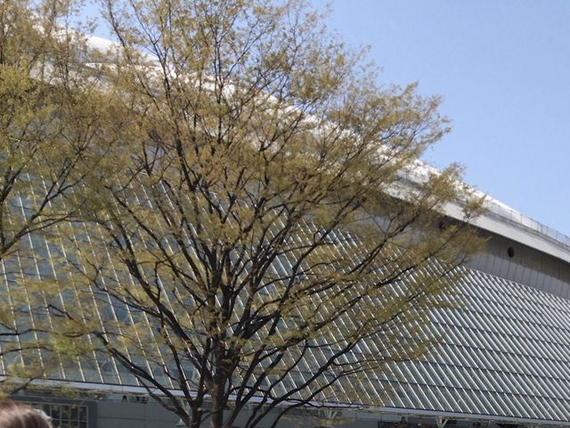 東京ドームが見えます_東京メトロ丸ノ内線後楽園駅