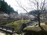 マイBOOさんの永光寺川緑のアメニティの投稿写真1