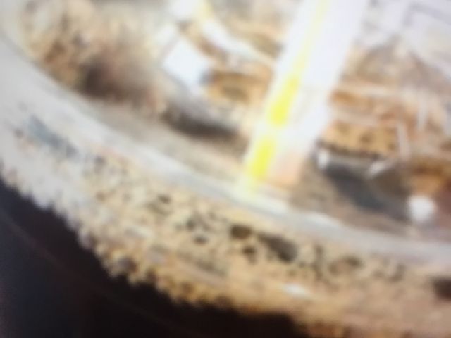 マクドナルド_マクドナルド梅田茶屋町店(McDonald’s)