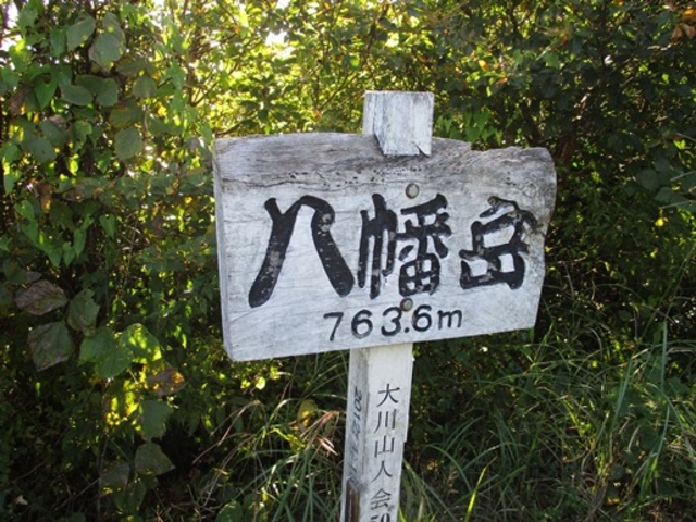 JOEさんの八幡岳の投稿写真1