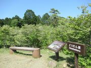 鶴亀松竹梅扇さんのどうだん原のどうだんつつじの紅葉の投稿写真1