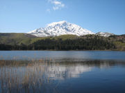 u-minさんの南浜湿原の投稿写真1