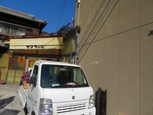 タマちゃん_タマちゃん