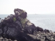 ルパン四世さんの桜島溶岩グラウンドの投稿写真1