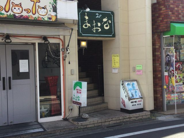 豪徳寺_まおな