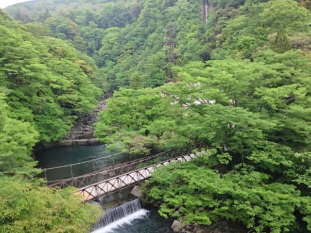 部屋からの景色1_塔ノ沢キャトルセゾン