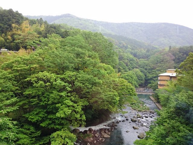 部屋からの景色2_塔ノ沢キャトルセゾン