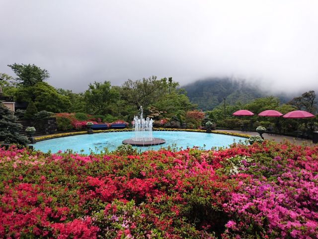 噴水とツツジ2_箱根強羅公園