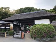 higuさんの茂原牡丹園の投稿写真1