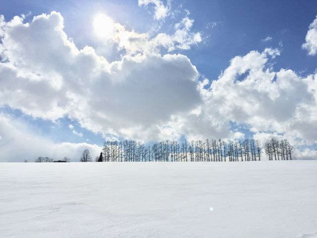 冬の景色_マイルドセブンの丘