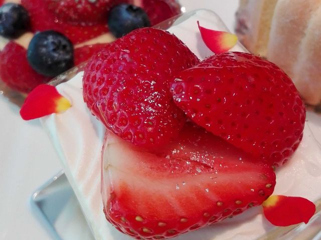 苺スイーツブッフェ_ホテル日航大阪 ロビーラウンジ
