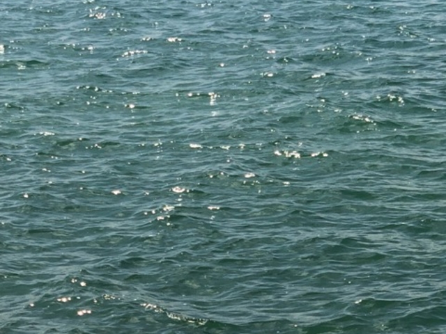 キレイ_白浜