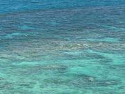 かなさんの座間味島周辺遊覧船の投稿写真1