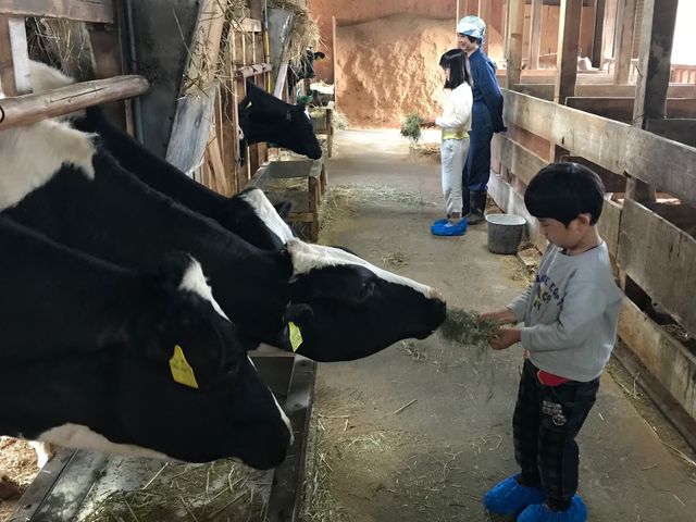 腰が引けていますので、舐められませんでした。_神田酪農