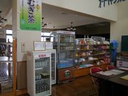 kateさんの朝日ヒスイ海岸オートキャンプ場の投稿写真2