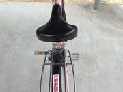 ひーちゃんさんの行田市観光レンタサイクルの投稿写真2