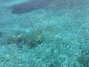 レナさんの座間味島周辺遊覧船の投稿写真1