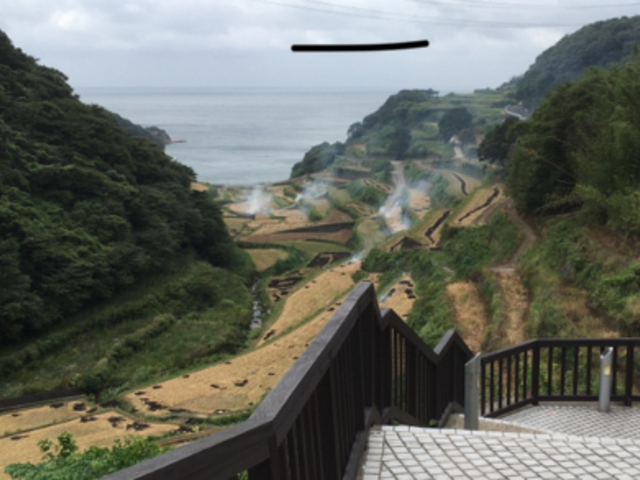 ジャッキーさんの蕨野の棚田の投稿写真1
