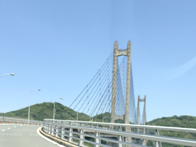 ここから眺める海が綺麗!_呼子大橋