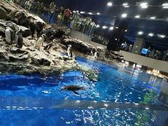 すみだ水族館の写真1