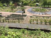 ひげはんさんの置賜公園ハーブガーデンの投稿写真1
