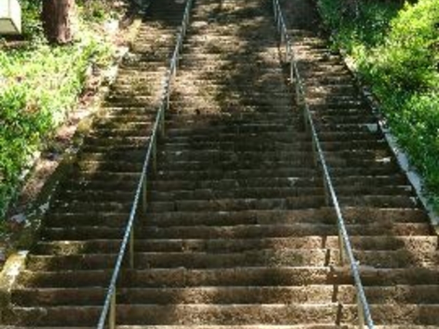 菩提梯_身延山久遠寺