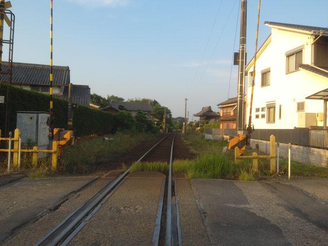 お寺の鐘楼が、あんな場所に!_樽見鉄道