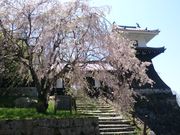 ANNさんの岩村歴史資料館の投稿写真6