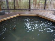 たかちゃんさんの天然温泉ぽぷりの湯(無料足湯)の投稿写真2