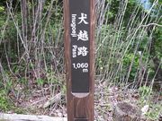 もぐらドンチャックさんの犬越路の投稿写真1