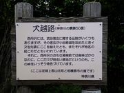 もぐらドンチャックさんの犬越路の投稿写真2