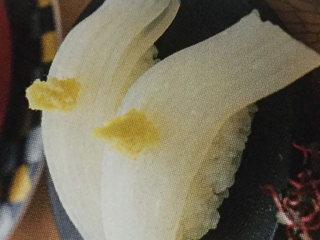 函太郎_函太郎 グランフロント大阪店