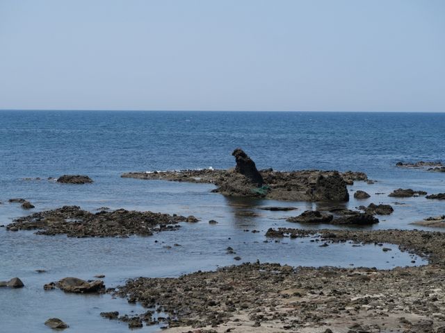 ゴジラ岩_木ノ浦岬