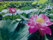 poporonさんの唐比ハス園の投稿写真1