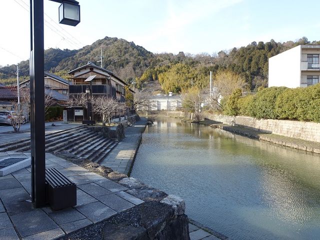 桜の頃は混雑するのだと思います_八幡堀めぐり