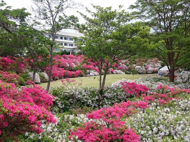 花月園のお庭_ホテル 花月園