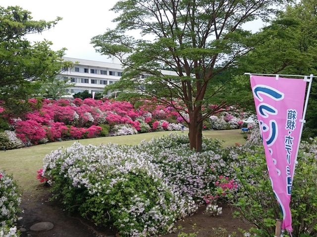 つつじ祭り_ホテル 花月園