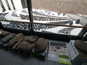 u-minさんの北海道立埋蔵文化財センターの投稿写真1