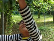 junさんのかすみがうら市千代田地区観光果樹園の投稿写真1