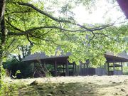 こぼらさんのかぎろひの丘万葉公園の投稿写真1